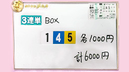 みんなのKEIBA みんなの夢馬券 優木まおみ 馬券画像