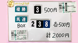 みんなのKEIBA みんなの夢馬券 井崎脩五郎 馬券画像