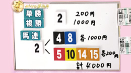 みんなのKEIBA みんなの夢馬券 井崎脩五郎 馬券画像