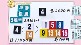 みんなのKEIBA みんなの夢馬券 細江純子 馬券画像