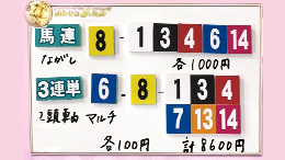 みんなのKEIBA みんなの夢馬券 細江純子 馬券画像