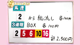 みんなのKEIBA みんなの夢馬券 井崎脩五郎 馬券画像