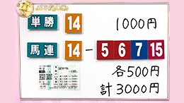 みんなのKEIBA みんなの夢馬券 井崎脩五郎 馬券画像