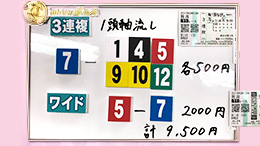 みんなのKEIBA みんなの夢馬券 渡辺舞 馬券画像