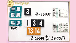 みんなのKEIBA みんなの夢馬券 井崎脩五郎 馬券画像