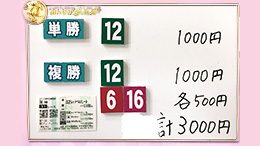 みんなのKEIBA みんなの夢馬券 優木まおみ 馬券画像