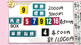 みんなのKEIBA みんなの夢馬券 細江純子 馬券画像