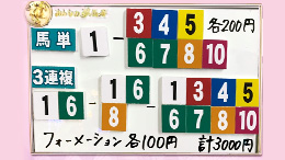 みんなのKEIBA みんなの夢馬券 曽田麻衣子 馬券画像