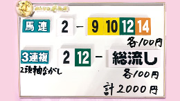 みんなのKEIBA みんなの夢馬券 井崎脩五郎 馬券画像