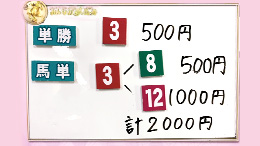 みんなのKEIBA みんなの夢馬券 井崎脩五郎 馬券画像