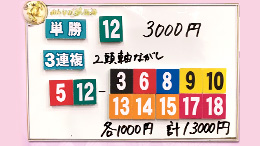 みんなのKEIBA みんなの夢馬券 細江純子 馬券画像