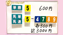 みんなのKEIBA みんなの夢馬券 井崎脩五郎 馬券画像