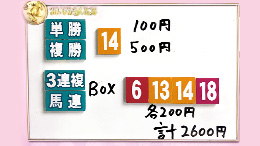 みんなのKEIBA みんなの夢馬券 井崎脩五郎 馬券画像