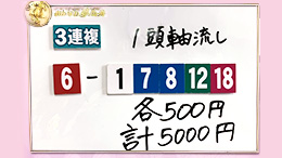 みんなのKEIBA みんなの夢馬券 鷲見玲奈 馬券画像