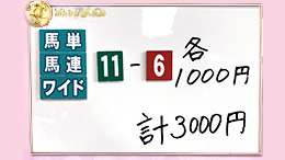 みんなのKEIBA みんなの夢馬券 井崎脩五郎 馬券画像