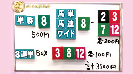 みんなのKEIBA みんなの夢馬券 井崎脩五郎 馬券画像