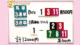 みんなのKEIBA みんなの夢馬券 細江純子 馬券画像