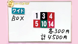 みんなのKEIBA みんなの夢馬券 今井りか 馬券画像