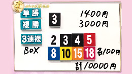 みんなのKEIBA みんなの夢馬券 細江純子 馬券画像