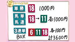 みんなのKEIBA みんなの夢馬券 井崎脩五郎 馬券画像