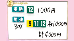 みんなのKEIBA みんなの夢馬券 井崎脩五郎 馬券画像