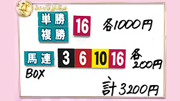 みんなのKEIBA みんなの夢馬券 井崎脩五郎 馬券画像