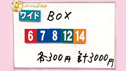 みんなのKEIBA みんなの夢馬券 森尾由美 馬券画像