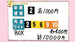 みんなのKEIBA みんなの夢馬券 細江純子 馬券画像