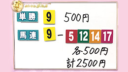 みんなのKEIBA みんなの夢馬券 井崎脩五郎 馬券画像