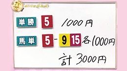 みんなのKEIBA みんなの夢馬券 井崎脩五郎 馬券画像