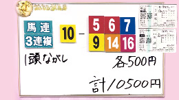 みんなのKEIBA みんなの夢馬券 鷲見玲奈 馬券画像