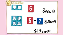 みんなのKEIBA みんなの夢馬券 井崎脩五郎 馬券画像