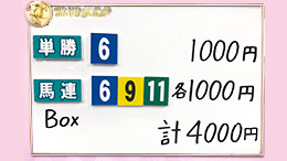 みんなのKEIBA みんなの夢馬券 井崎脩五郎 馬券画像