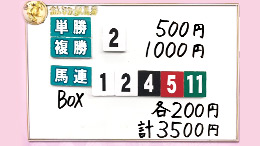 みんなのKEIBA みんなの夢馬券 井崎脩五郎 馬券画像