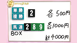 みんなのKEIBA みんなの夢馬券 井崎脩五郎 馬券画像