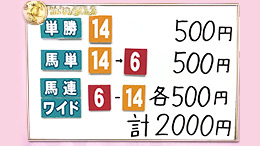 みんなのKEIBA みんなの夢馬券 井崎脩五郎 馬券画像