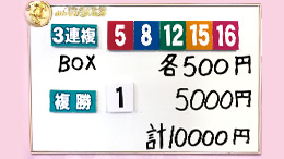 みんなのKEIBA みんなの夢馬券 稲村亜美 馬券画像