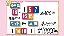 みんなのKEIBA みんなの夢馬券 細江純子 馬券画像