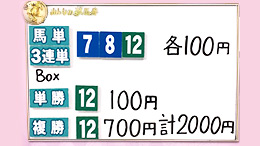 みんなのKEIBA みんなの夢馬券 井崎脩五郎 馬券画像