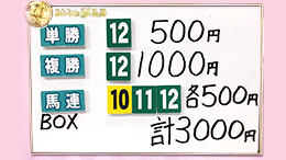 みんなのKEIBA みんなの夢馬券 井崎脩五郎 馬券画像