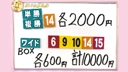 みんなのKEIBA みんなの夢馬券 細江純子 馬券画像