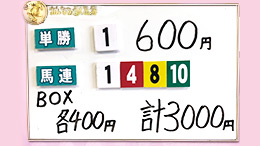 みんなのKEIBA みんなの夢馬券 井崎脩五郎 馬券画像