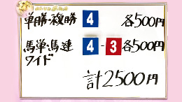 みんなのKEIBA みんなの夢馬券 井崎脩五郎 馬券画像