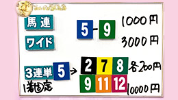 みんなのKEIBA みんなの夢馬券 細江純子 馬券画像