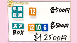 みんなのKEIBA みんなの夢馬券 井崎脩五郎 馬券画像