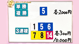 みんなのKEIBA みんなの夢馬券 細江純子 馬券画像