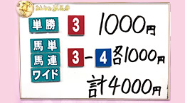 みんなのKEIBA みんなの夢馬券 井崎脩五郎 馬券画像