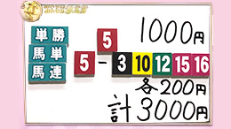 みんなのKEIBA みんなの夢馬券 井崎脩五郎 馬券画像