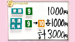 みんなのKEIBA みんなの夢馬券 井崎脩五郎 馬券画像