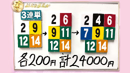 みんなのKEIBA みんなの夢馬券 田中道子 馬券画像